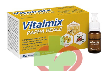Vitalmix Pappa Reale Energia per l'Organismo Tonico con Vitamina B 10Flaconcini